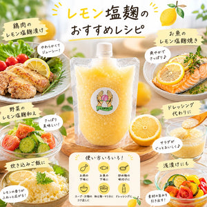 レモン生塩麹｜HAKUAミネラル入り 無添加発酵調味料