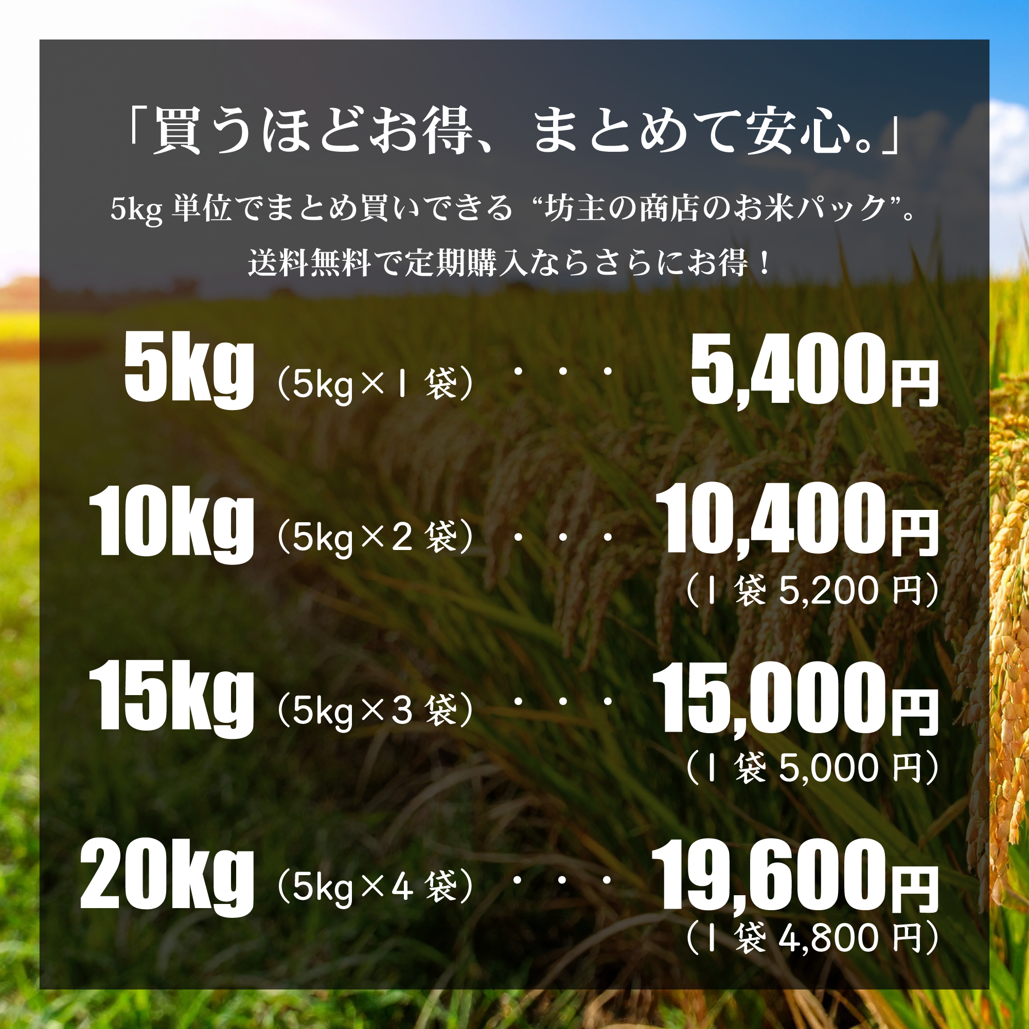 【令和7年新米】千葉県のお米「ふさこがね」