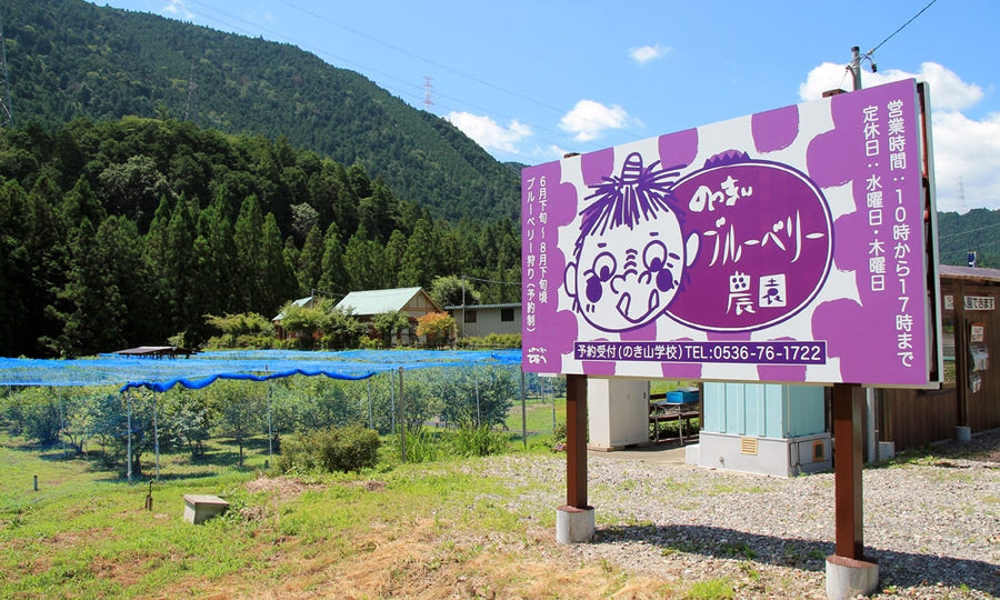 のっきぃブルーベリー農園