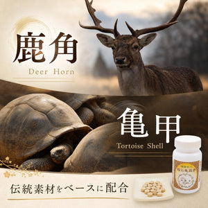 龍仙亀鹿参
