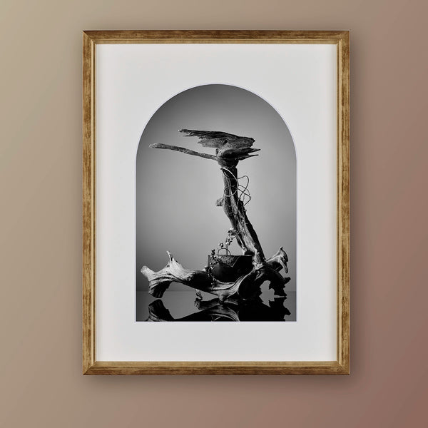 IKEBANA PHOTO「kouei  series【舎利朴】」