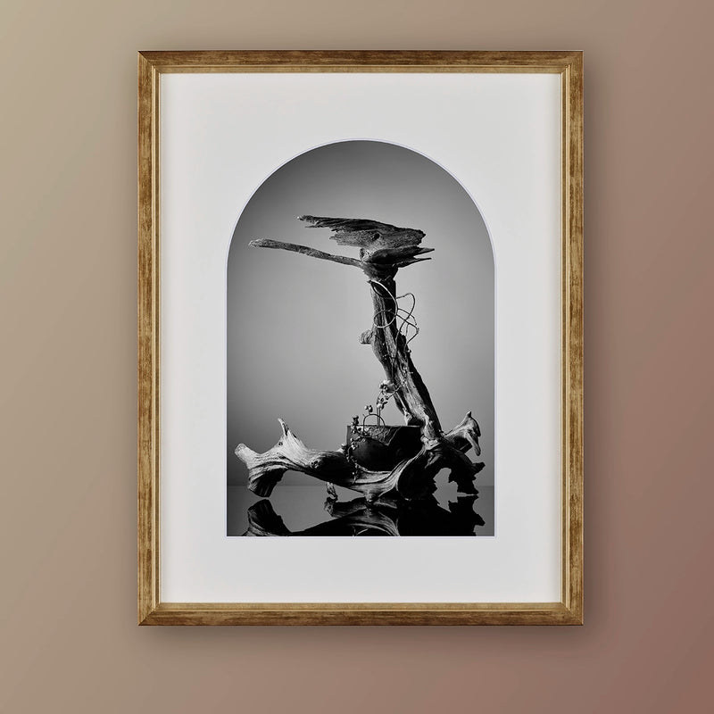 IKEBANA PHOTO「kouei  series【舎利朴】」