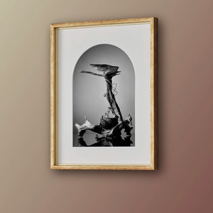 IKEBANA PHOTO「kouei  series【舎利朴】」
