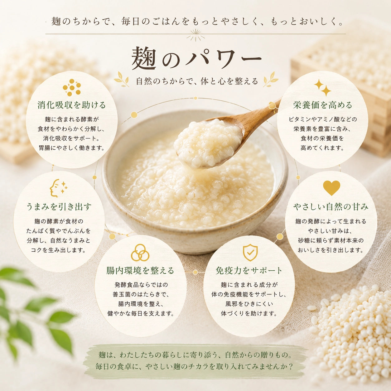 生カレー麹｜HAKUAミネラル入り 無添加発酵調味料