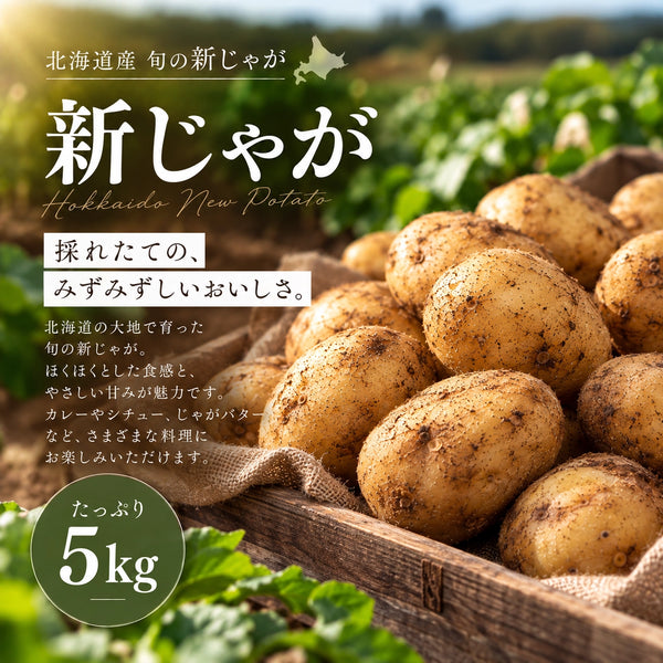 北海道十勝産 旬の新じゃが 5kg｜4品種から選べる