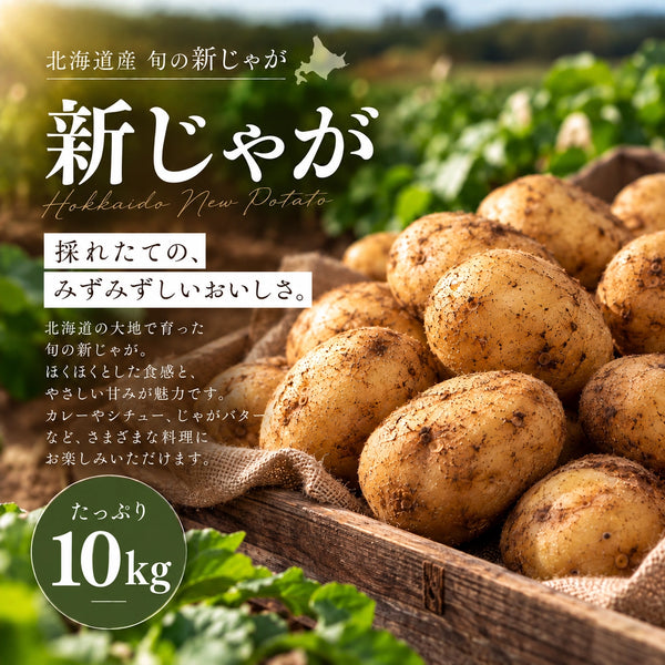 北海道十勝産 旬の新じゃが 10kg｜4品種から選べる