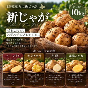 北海道十勝産 旬の新じゃが 10kg｜4品種から選べる