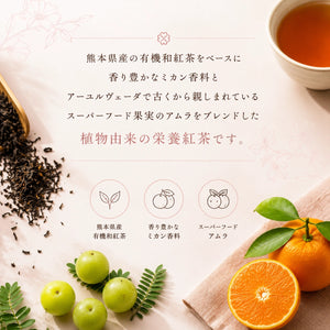 VITABOX ボタニカル和紅茶（ティーバッグ）｜熊本県産有機和紅茶×アムラ×ミカン香料