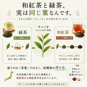 和紅茶百花「アールグレイ」 ティーバッグ 5包