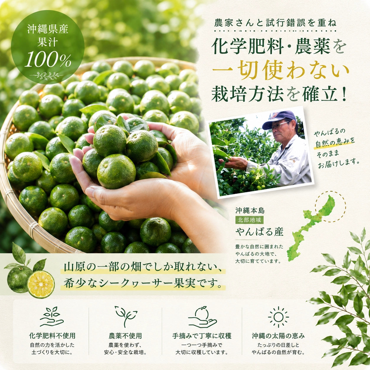 山原シークヮーサー 黒ラベル 720ml｜沖縄県産果汁100%・化学肥料・農薬不使用