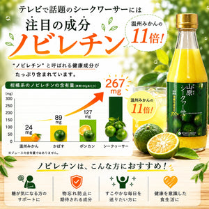 山原シークヮーサー 300ml｜沖縄県大宜味村産 果汁100％ストレート